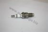 VW 101000040AD Spark Plug